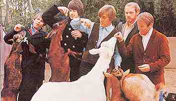 Beach Boys Beach Boys
